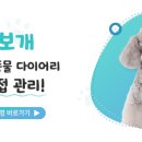 안녕펫(물어보개) 이미지