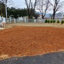 강화농업협동조합송해지점 이미지