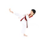 스타일 태권도장 이미지