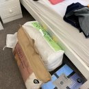 냉혹하고 살벌한 영국, 브라이튼에서 집 구하기 현실 2(실제 뷰잉, 입주 후기, 초기 정착비, 쇼핑 목록)