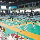 명화태권도체육관 이미지