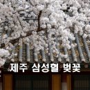 (주)아름다운제주여행