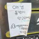 우리커피밥 | 양평 용문사 근처 한정식 마당곤드레밥 21가지 반찬과 즐기는 죽통밥 곤드레밥 식후 무료 커피 후기