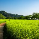 강변(3-2단지)(아) 이미지