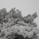 하늘그림 이미지