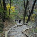 청량산화로구이 | 가을 빛으로 곱게 물든 청량산 (2011.10.29)