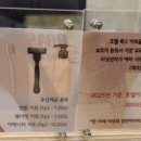 호텔 폭스아트홀 이미지