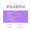제주도 제스프리 골드키위 52과 / 26과 / 13과