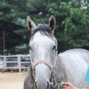 모아슈퍼 이미지