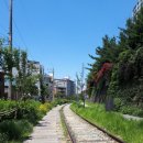 공릉검도관 | [이모저모] 현무검도관 사범님의 출근길 :D [공릉동 경춘선숲길/공트럴파크]