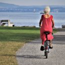 미라클인셀덤 이미지