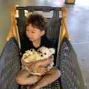 쿨펫이마트 목동점 동물병원 이미지