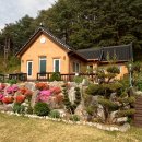 아산우체국 버스정류장 이미지