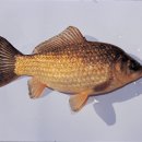 천산무관 이미지