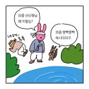 법인청춘