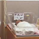 최수련소아과 | 엘리움 산후조리원 스위트 2주 후기