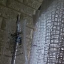 장미영내과의원 이미지