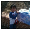 영월실내체육관 이미지