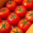 더조은농장 이미지