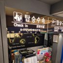 신논현역 6번7번 사이교보타워 앞 | 🍹 강남역 룸술집, 7번방 강남점 방문 후기 - 여행 컨셉의 프라이빗 공간