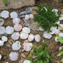 휴양림하우스 이미지