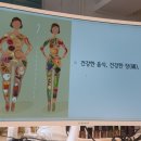 아동요리지도사 이미지