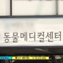 서울송파동물병원