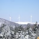 저구망산등산로 이미지