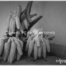 서울모담치과의원 이미지