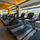 오에스짐레이디 이미지