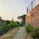 로뎀나무 무인카페 | 남양주 장어의꿈 근처 무인카페 커피샤워 | 아메리카노 가격과 영업시간 정리