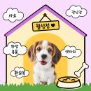 월성마트 이미지