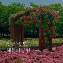 [인천] 송도 가볼만한 곳 장미명소 해돋이공원 장미축제 끝물에 다녀온 후기