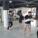 팀레드주짓수&MMA
