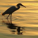 아름다운 항해 이미지