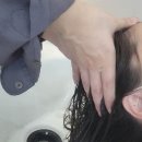 건니크 이미지