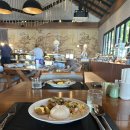 해뜨는 동물병원 해질녘책방 | [코사무이 신혼여행 3일차] 정글클럽 / 힌타 힌야이 / 쿤아람 사원 / 코끼리 투어 / 아로마 스파 / 야시장