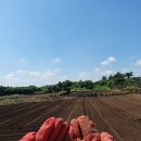 효림농장 이미지