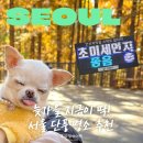 지금 - 김천시 문화3길 21-1 | 지금
