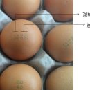 경북농장계란