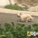 상연농장 이미지