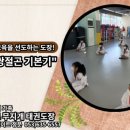한미르 무지개 태권도장 이미지