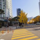 현일초교도로 이미지