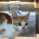 노원-상계-2851 이미지