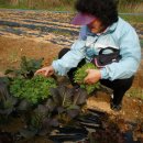 성고농장 이미지