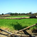 나눔한방허브 이미지