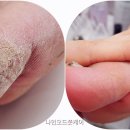 나인샵 이미지