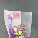 옥스트