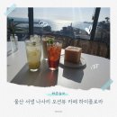 라떼플로라 | 울산 서생 나사리 오션뷰 카페 하이플로라 방문후기 주차