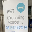 큐브애견미용학원 이미지